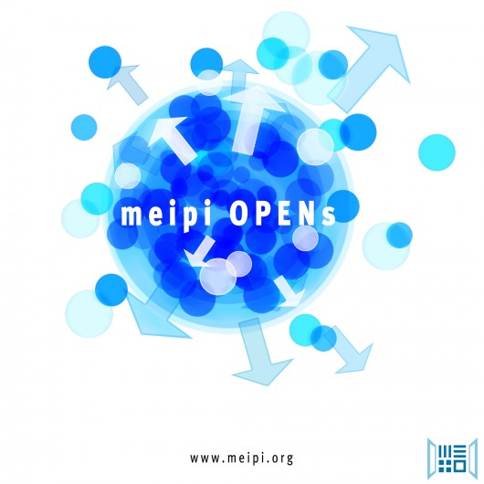 MEIPI